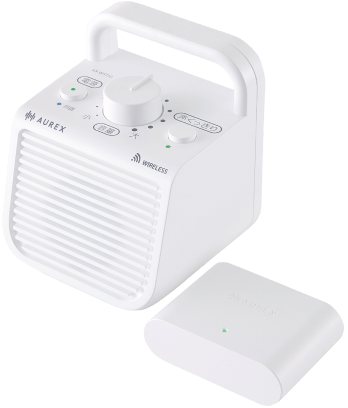 AX-WST10