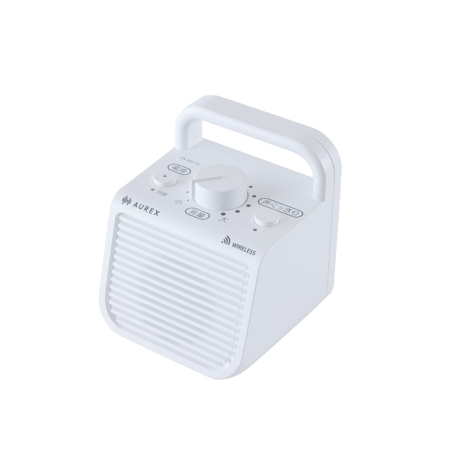 AX-WST10 Image1