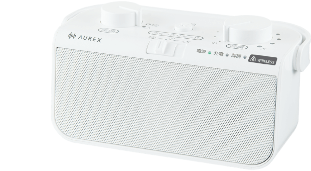 AX-WST21
