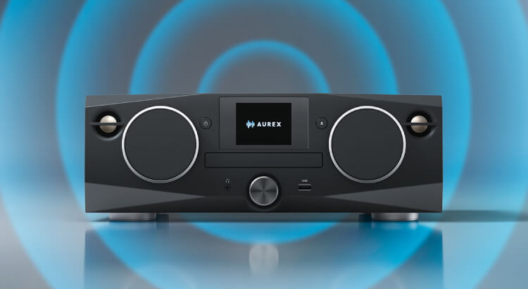 ツイーター(10W)20mm チタンドーム / ウーファー(15W)64mm カーボンコーン